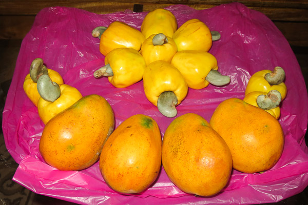 11 cashew apples and 4 mangoes in Kankan, Haute Guinée, Guinea