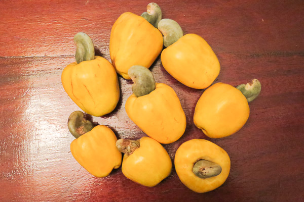 8 cashew apples, with cashews still clinging on