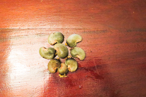 8 cashews, unopened