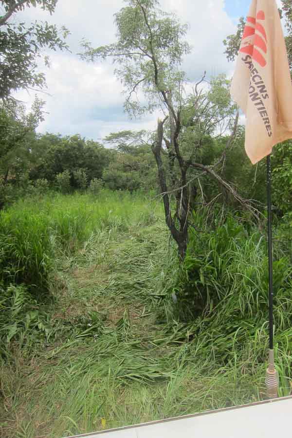 A path hacked through the tall grass for the truck
