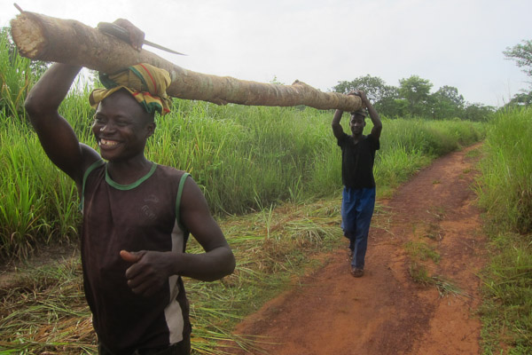 Two men carry a log for bridge repair near Grimari, Central African Republic