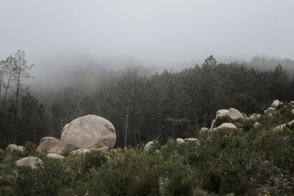 Low clouds in the forest walking from Sintra town to the Capuchos Convent