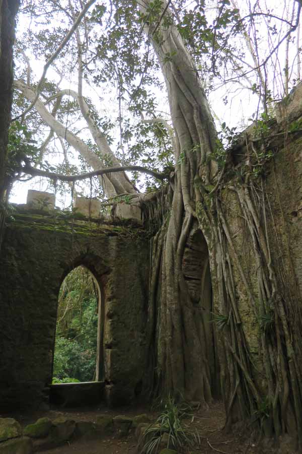 Tree roots overgrowing a mock ruin at the Park and Palace of Monserrate, Sintra
