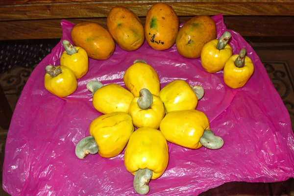 Cashew apples and mangoes in Guinea