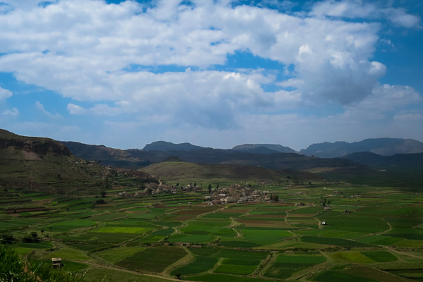 Green fields in Yemen