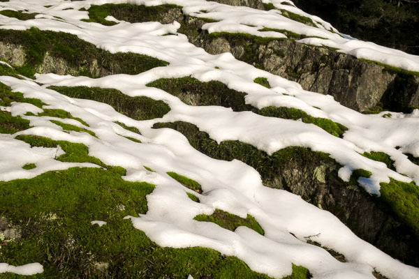 Snow-covered moss mountain, Bowen Island