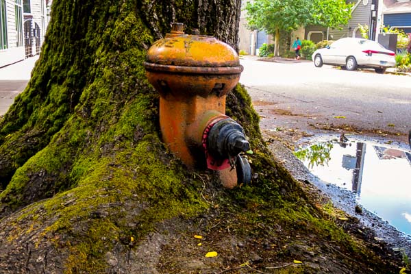 Old fire hydrant in Portland, Oregon