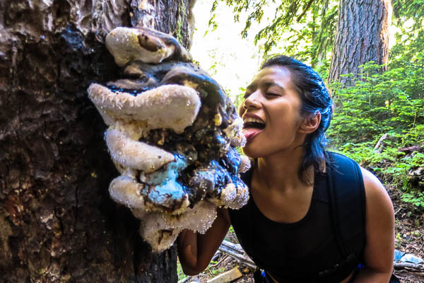 Danielle and the giant fungus