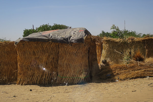Thatch hut in an IDP camp, Monguno, Borno State, Nigeria